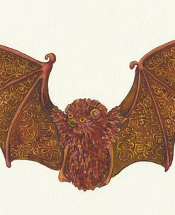 Eastern Red Bat