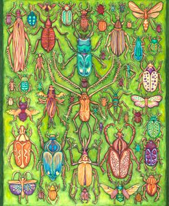 Bugs