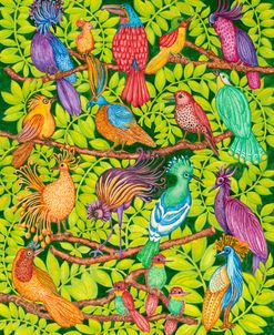 Colorful Tropical Birds