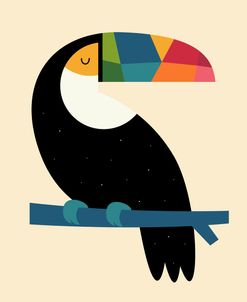 Rainbow Toucan