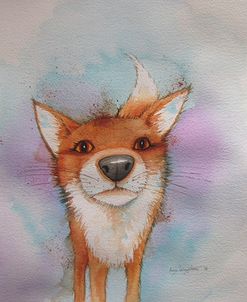 Nosey Fox