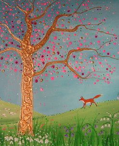 Spring Fox