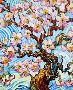 Cherry Blossom Waltz