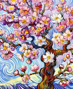 Spring Zephyr