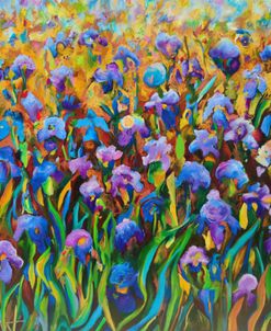 Iris Field