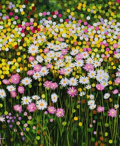 The Daisy Patch