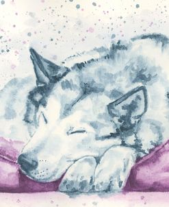 Sleeping Kaia in Duo