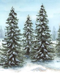 Snowy Pines 1