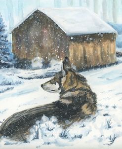 Winter Snow Storm At The Farm