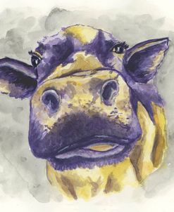 Nosy Purple Cow