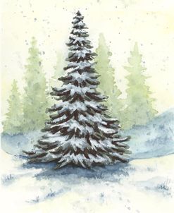 Single Snowy Pine