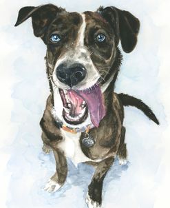 Smiling Brindle Pup Portrait