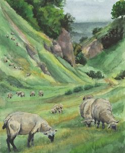 Hillside Graze
