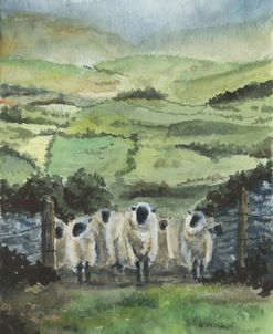 The Gathering Gate Copy