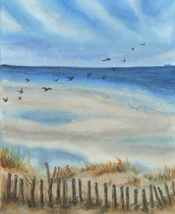 To The Shore