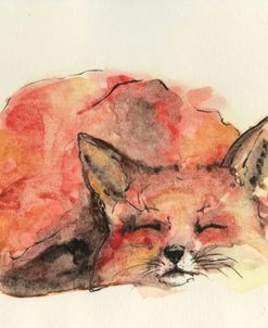 Sleeping Fox