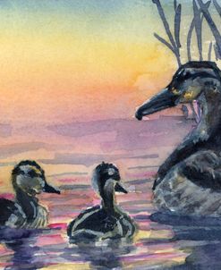Lessons At Sunset