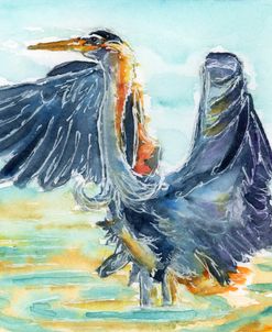 Marsh Dancer