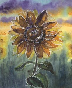 Sunset Sunflower
