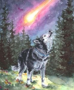 Sketchbook – Howling Comet