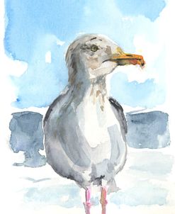 Sketchbook – Seagull