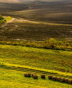 Country Landscape with Straw Bales