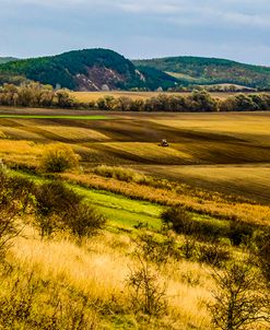 Country Landscape with Tractor