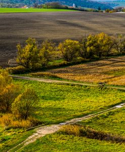 Country Landscape with Trees