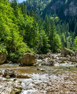 Scenic Carpathian Mountains 02