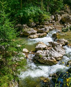 Scenic Carpathian Mountains 03