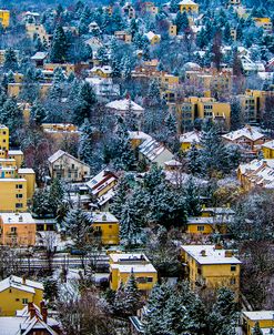 Snowy Rooftops 02