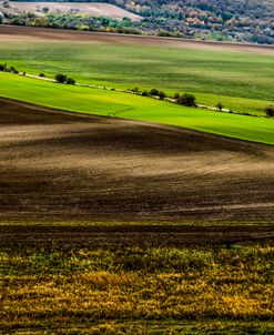 Through the Country Field