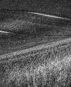 Lines in the Field