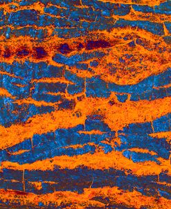 Colorful Bark 03