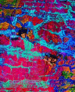 Colorful Bark 04