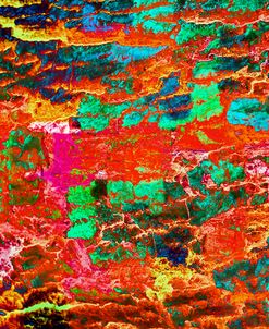 Colorful Bark 06