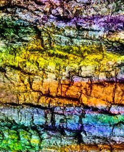 Colorful Bark 07