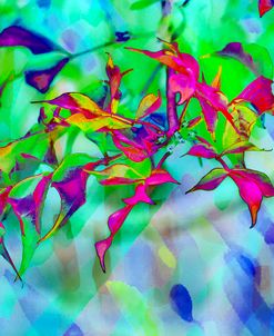 Colorful Foliage 01