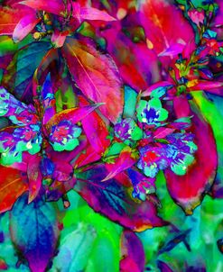 Colorful Foliage 03