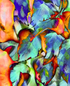 Colorful Foliage 05
