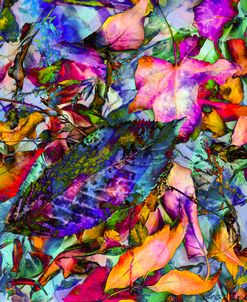 Colorful Foliage 14