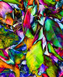 Colorful Foliage 15