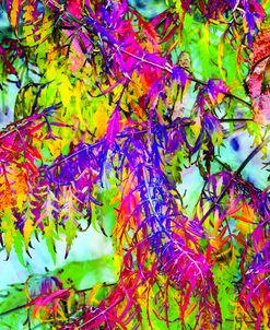 Colorful Foliage 08