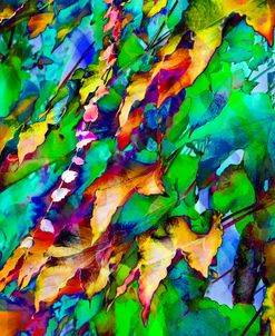 Colorful Foliage 09