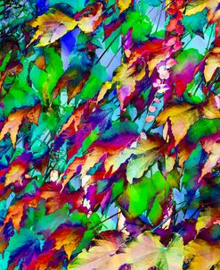 Colorful Foliage 10