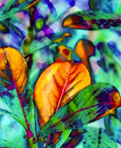 Colorful Foliage 17