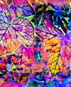 Rainbow Colors 09
