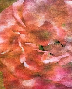 Roses on Canvas 28