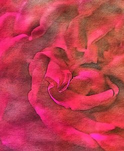 Roses on Canvas 29