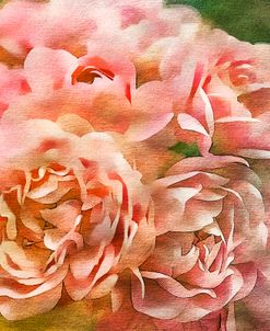 Roses on Canvas 25